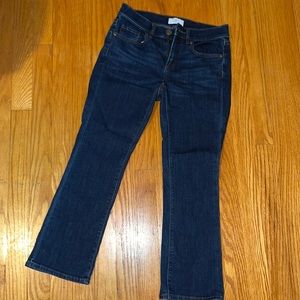 petite loft jeans